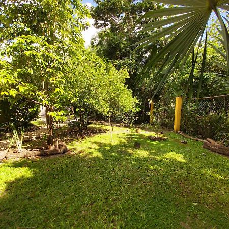 Mini Pini Bird Watching And Cenote Loft Villa Cozumel Exterior photo