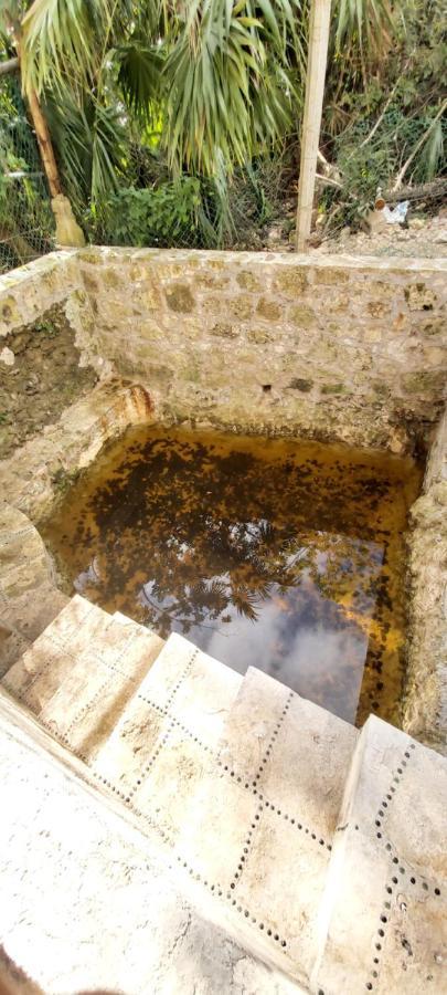 Mini Pini Bird Watching And Cenote Loft Villa Cozumel Exterior photo