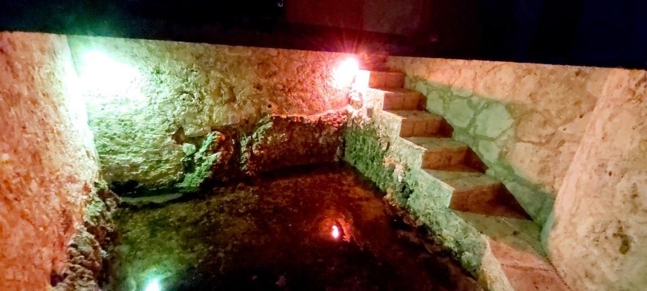 Mini Pini Bird Watching And Cenote Loft Villa Cozumel Exterior photo