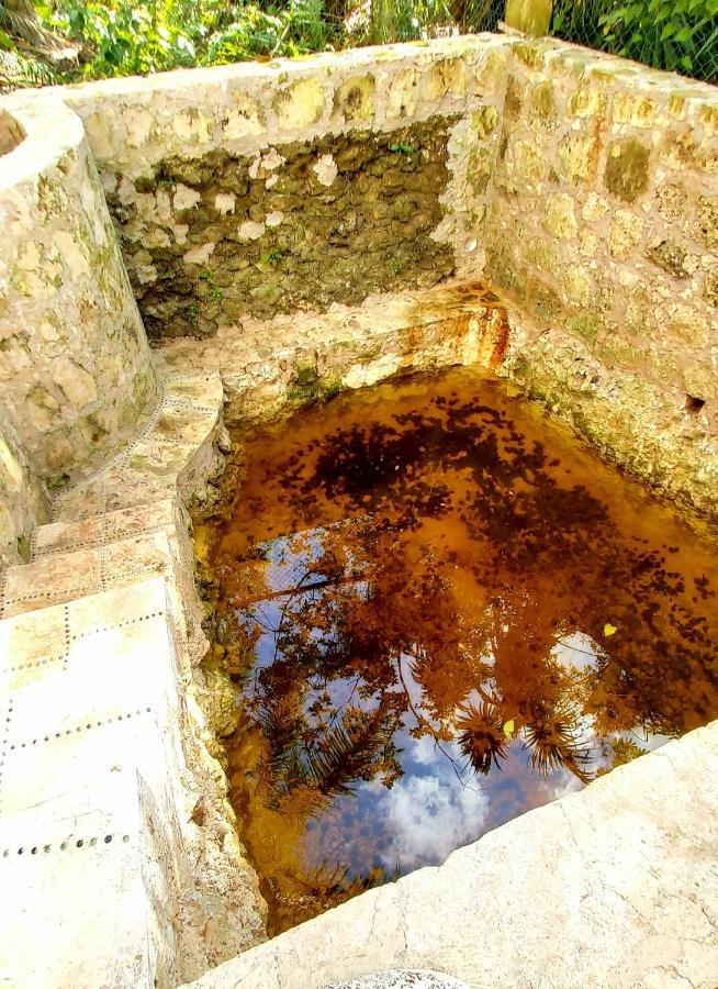 Mini Pini Bird Watching And Cenote Loft Villa Cozumel Exterior photo