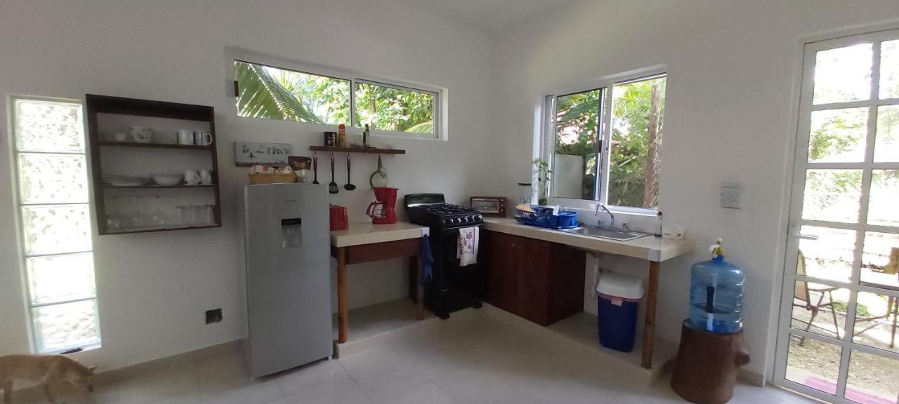Mini Pini Bird Watching And Cenote Loft Villa Cozumel Exterior photo