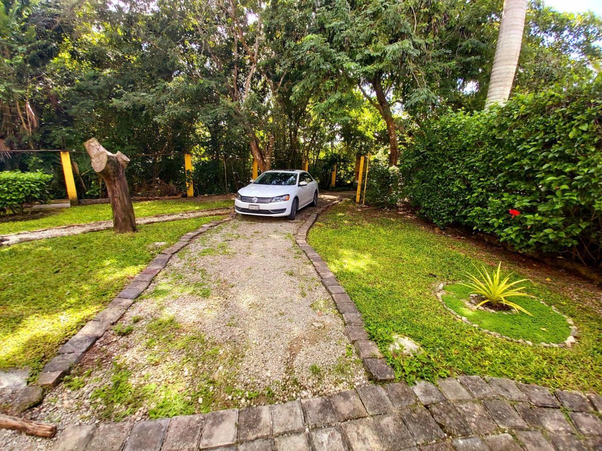 Mini Pini Bird Watching And Cenote Loft Villa Cozumel Exterior photo